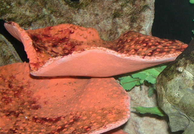 Saltwater Photos