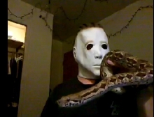 dumeril boa