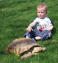 Noah & Tiny