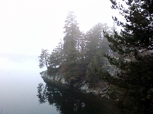 forstsee 01012010