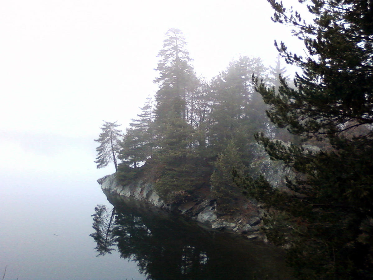 forstsee 01012010
