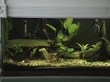 110 setup