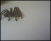 Caught this in garage