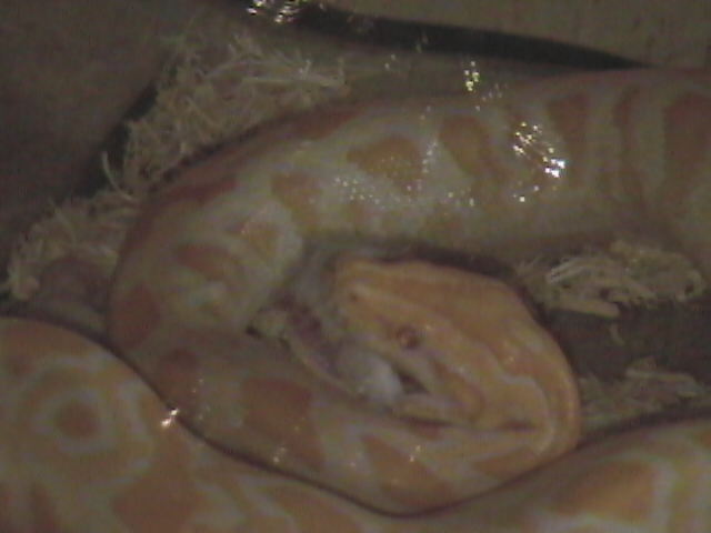 food time