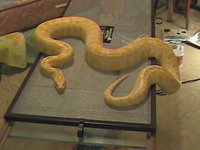 7 1/2 foot burm