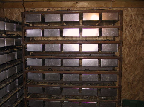 mouse rack 2