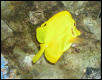 Saltwater Photos
