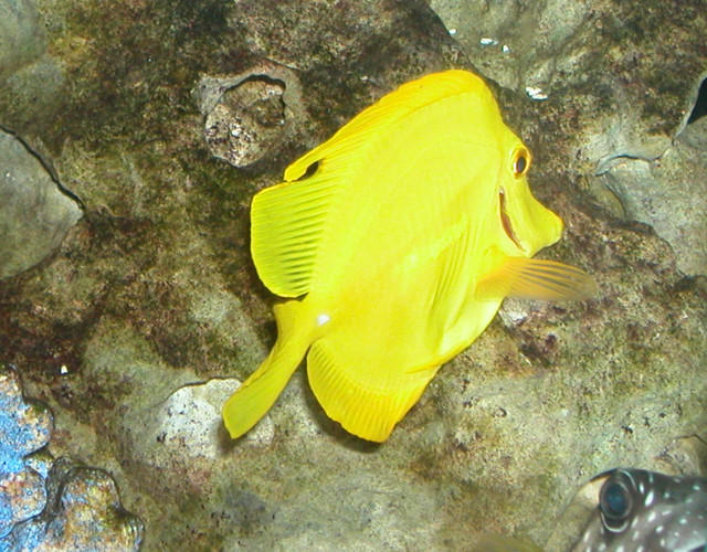 Saltwater Photos