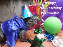 birthday