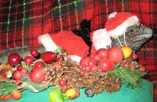 Xmas time
