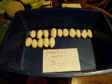 2012 eggs