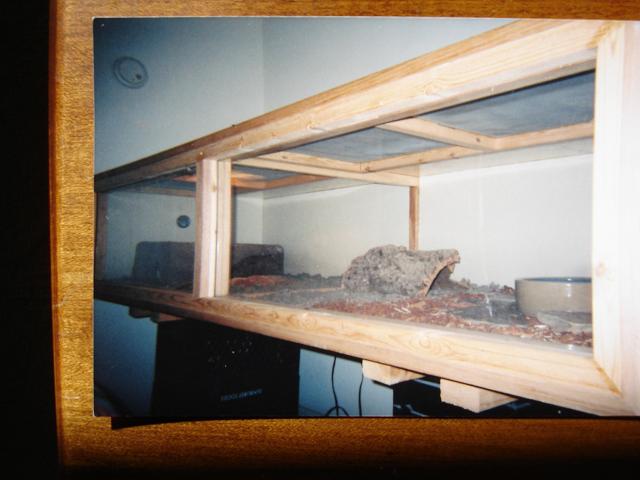 My Custom Built N.Pine Cages..