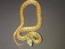 Peanut Butter Brooks (male)