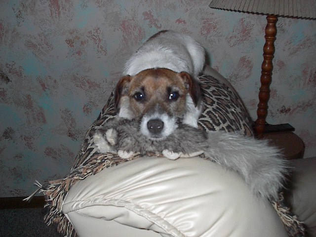 zoe & her  toy ferret