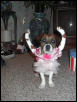 zoe ballerina