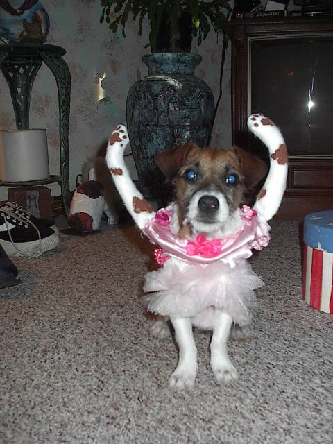 zoe ballerina