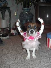zoe  halloween ballerina