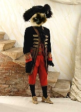 Captain Video