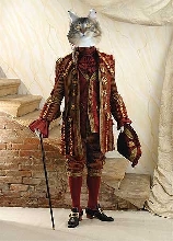 Gonzo
