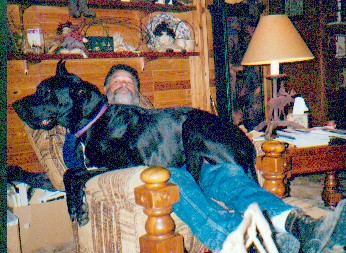Lap Puppy
