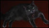 What kind of cat am I?  Please RE: iamone@enteract.com