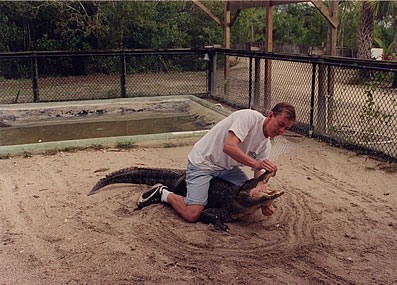 Alligator Wrestling 2
