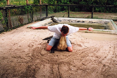 Alligator Wrestling