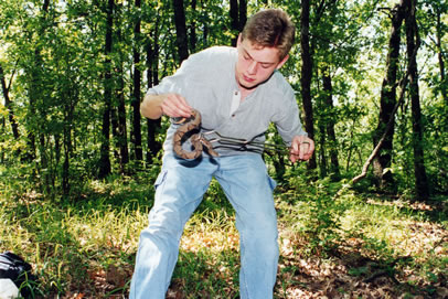 Copperhead (Osage)