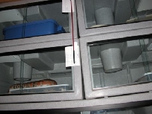 sagging Vision cages