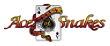 Ace logo