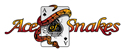 Ace logo