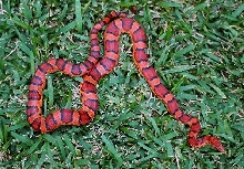 Soderberg Abbott Female '05