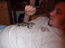 bubba gettin tame
