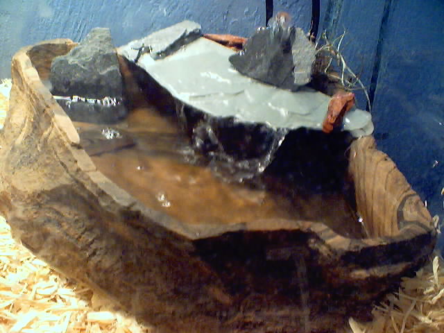 savannah and her water fall