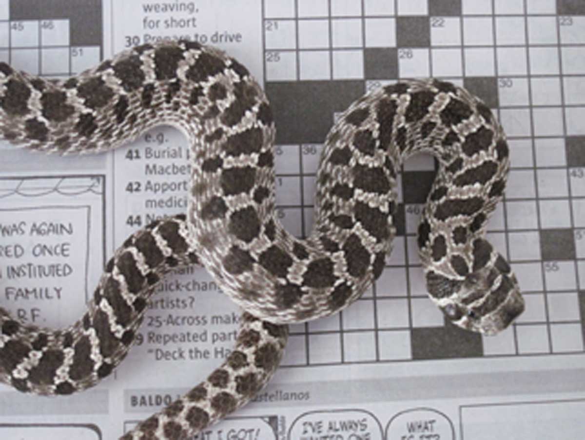 20 Across