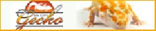 SS