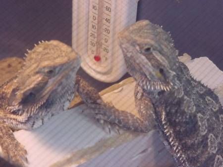 Eric & Lisa holding hands on a date!