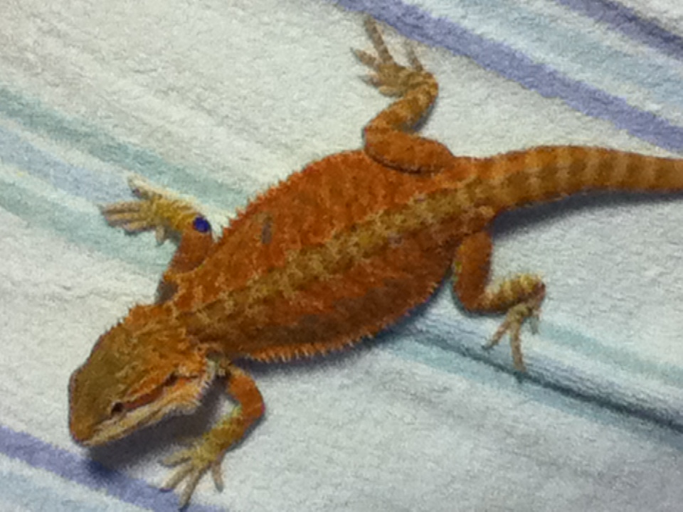70 grams