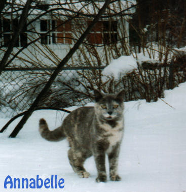 Annabelle