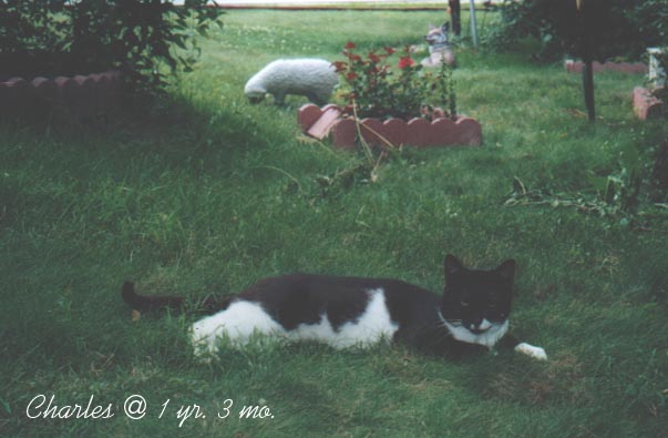 Charles
