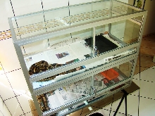 mys terrariums