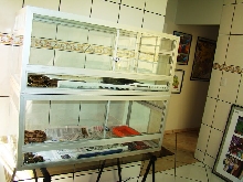 terrariums