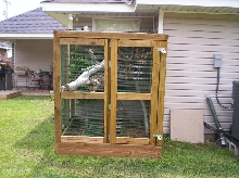 V. Prasinus Outdoor Breeding Enclosure
