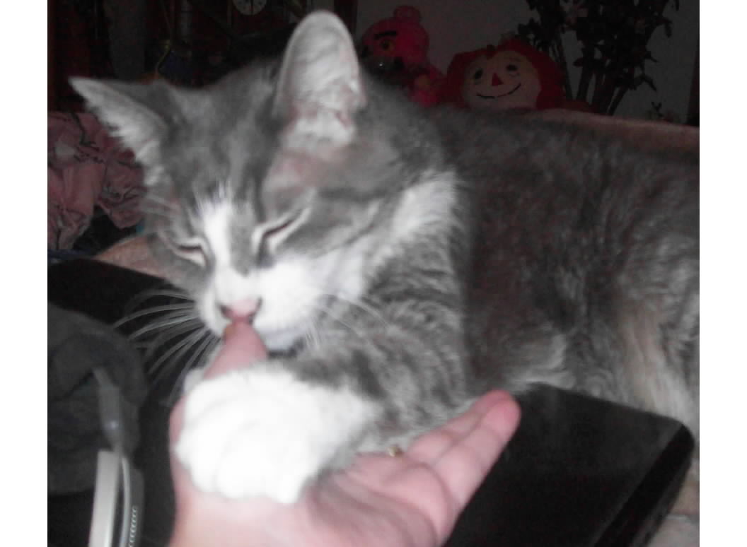 Merlin lends a hand