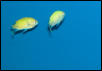 Saltwater Photos