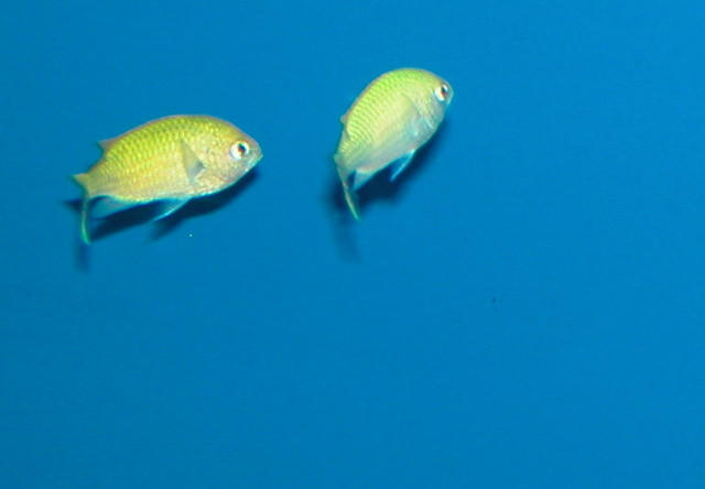 Saltwater Photos