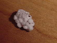 foam