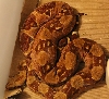 06 OT Hypo Female