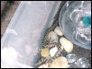 Hey Lil' Guy! 2