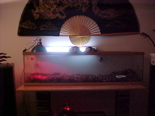 BWAT Setup